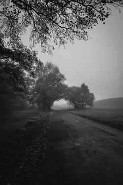 Natur